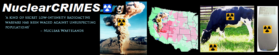 NuclearCrimes.org